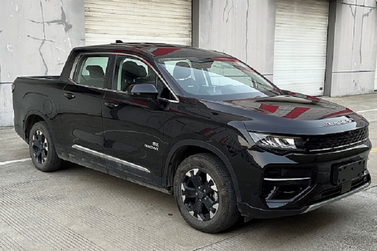 雷达牌ZB1030BEVRSD13纯电动多用途货车图片