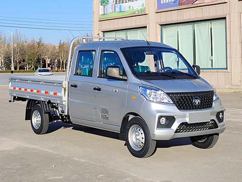 福田牌BJ1020V2AV5-13载货汽车图片