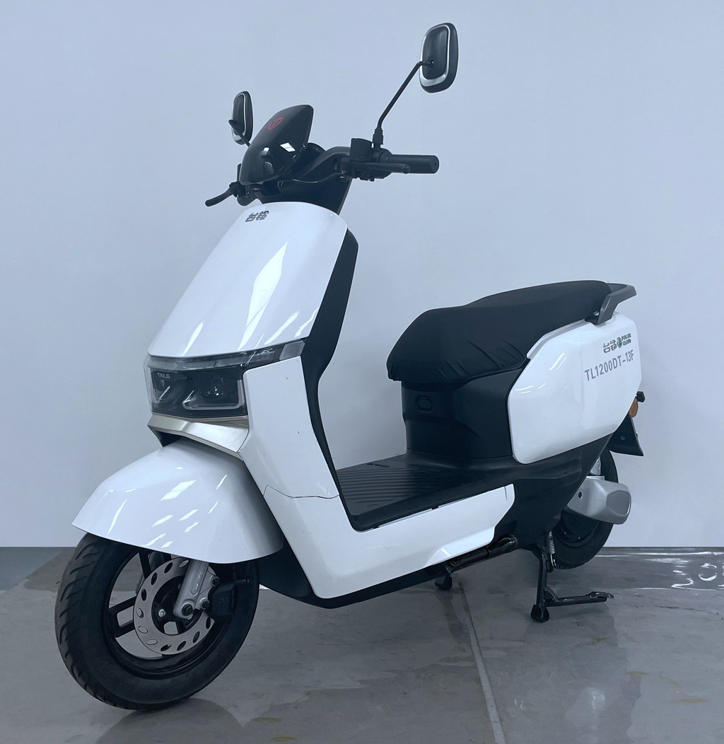 台铃牌TL1200DT-13F电动两轮摩托车图片