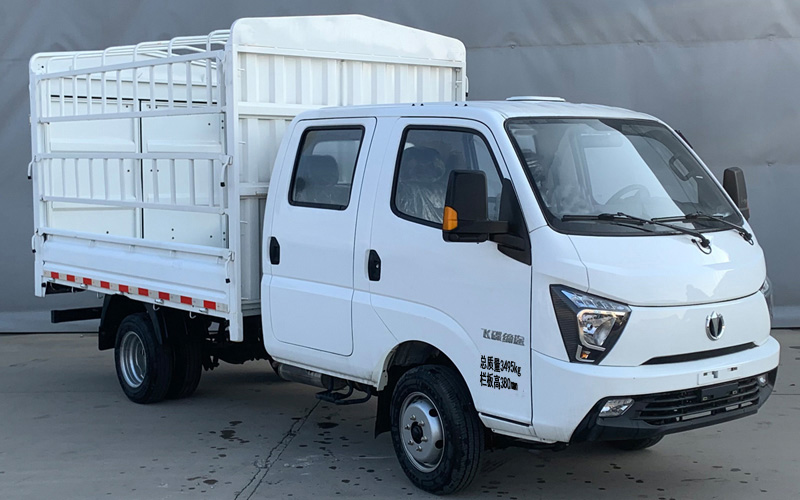 飛碟牌FD5038CCYR66K6-11倉柵式運(yùn)輸車公告圖片