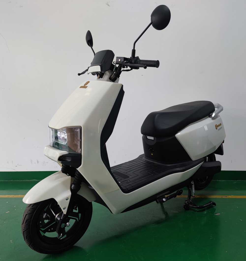 特莱维狮牌TS1200DT-12电动两轮摩托车公告图片