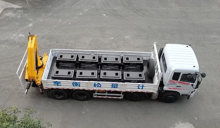 賽家牌WHR5310JJH6計(jì)量檢衡車公告圖片