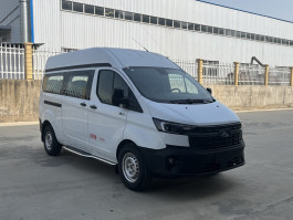龙牧双星牌LMX5041XSCJX6伤残运送车