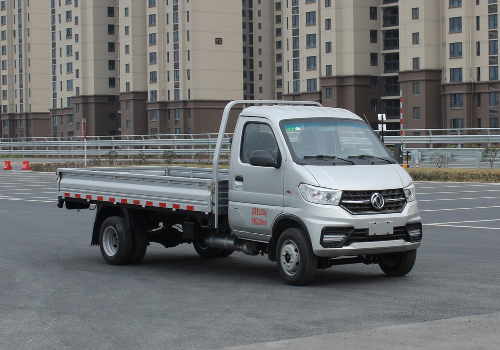 东风牌EQ1021S60Q2E轻型载货汽车图片