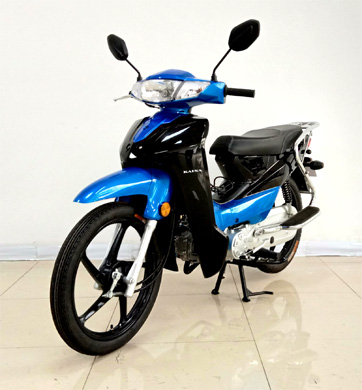 KS110-2A两轮摩托车