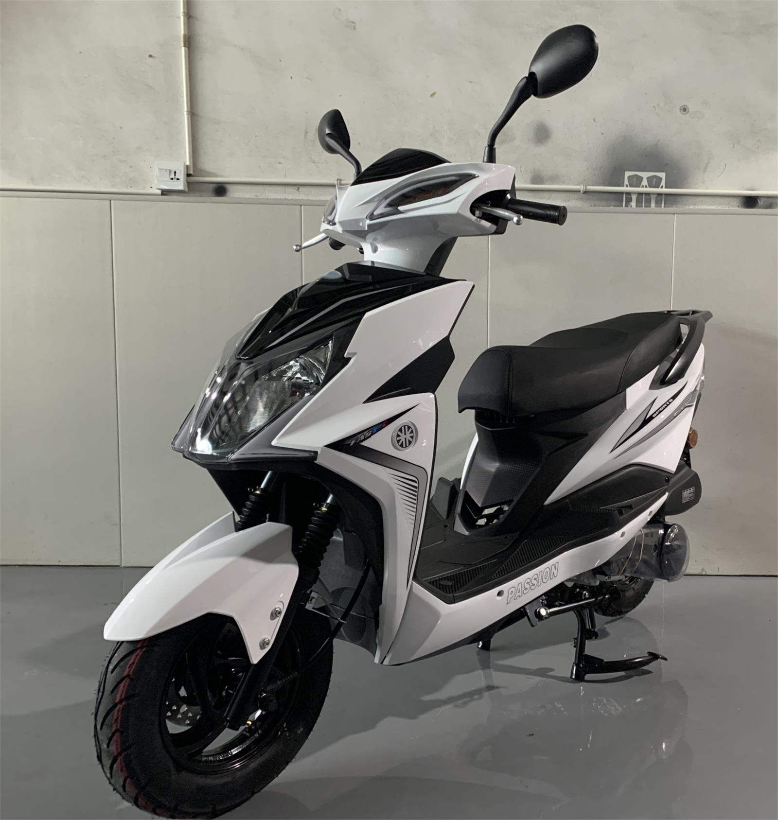 三友牌SY125T-8B两轮摩托车公告图片
