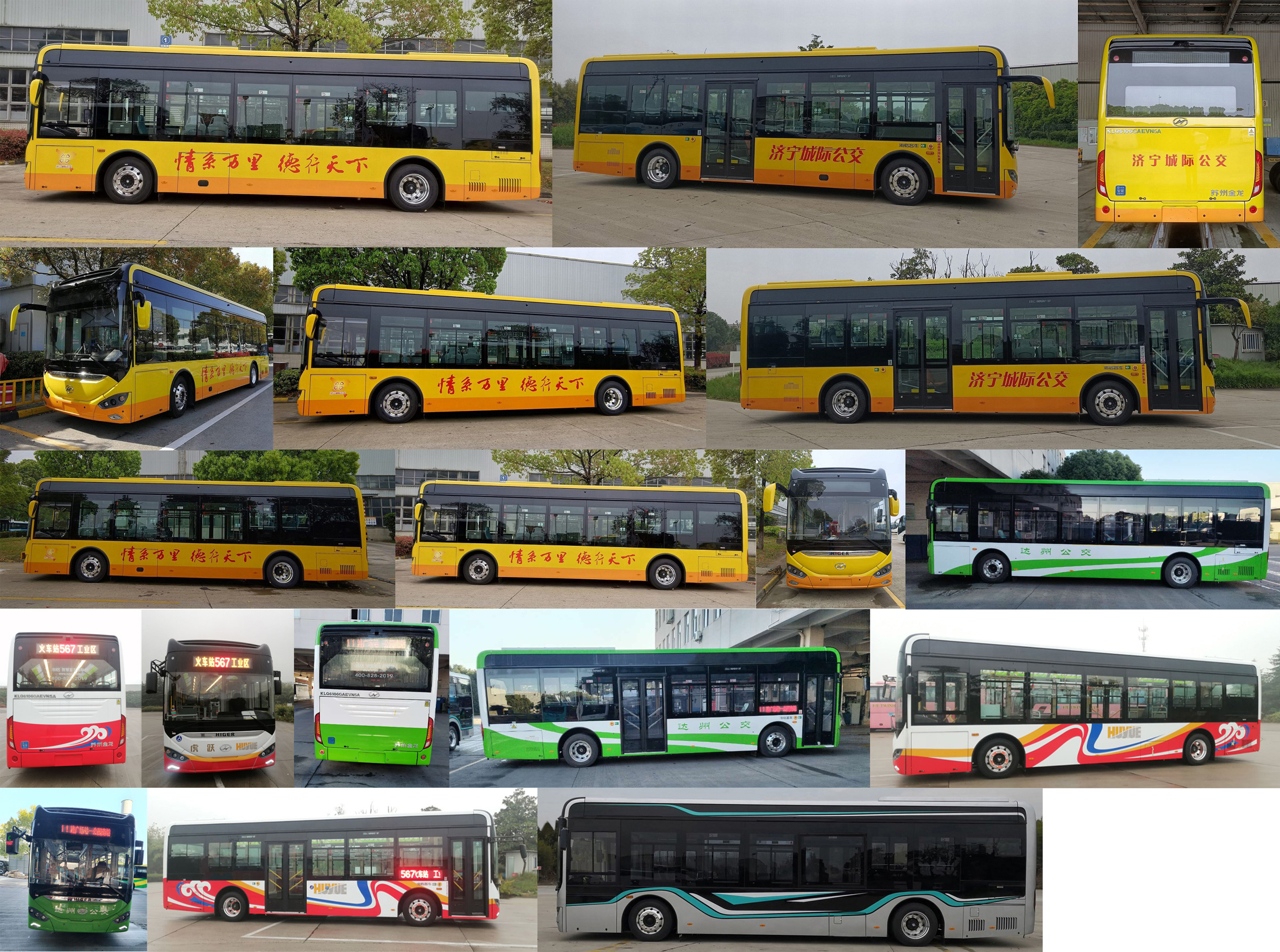 海格牌KLQ6106GAEVN5A纯电动低入口城市客车公告图片