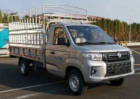 东风牌DXK5030CCYC1HL仓栅式运输车