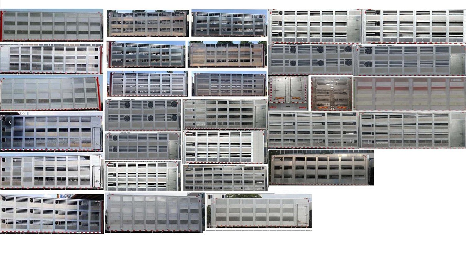 程力牌CL5183XCQ6SS雛禽運輸車公告圖片