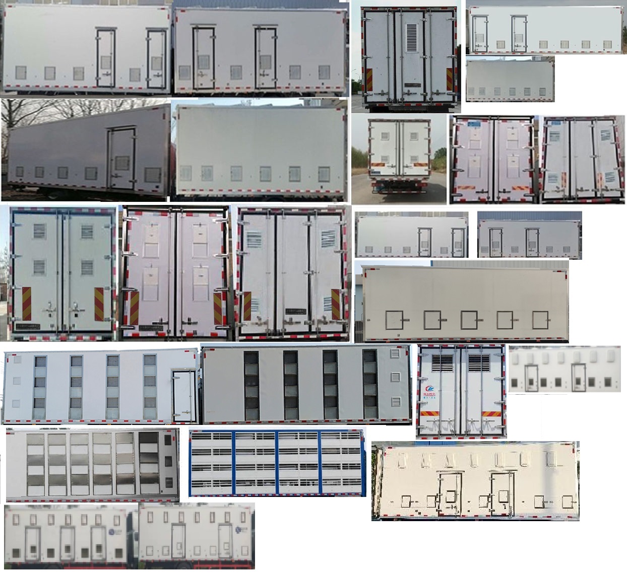 程力牌CL5183XCQ6SS雛禽運輸車公告圖片