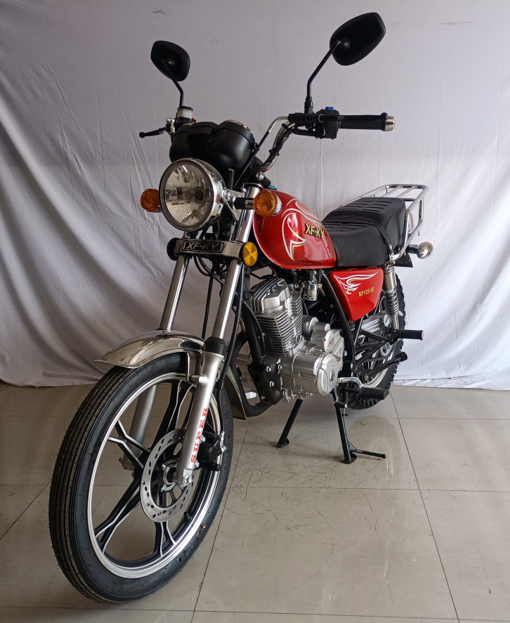 幸福光揚牌XF125-6E两轮摩托车公告图片