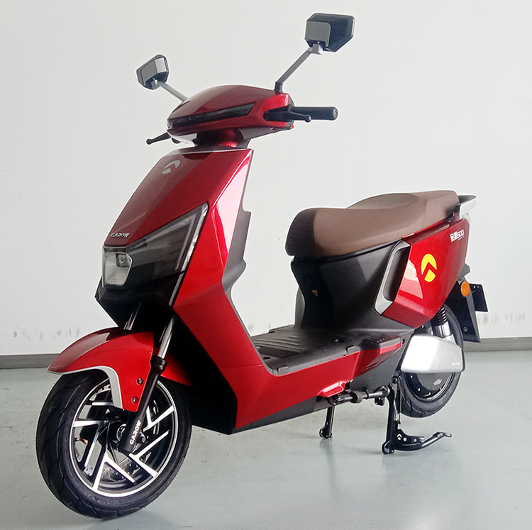 金箭牌JJ1200DT-53A电动两轮摩托车图片