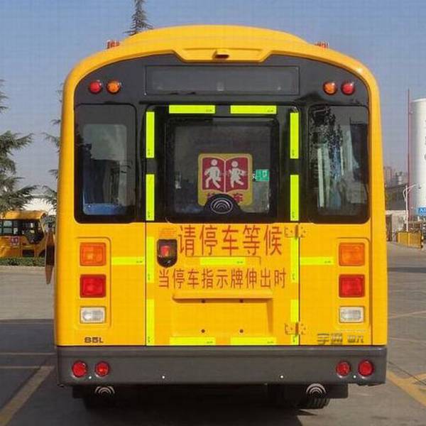 宇通牌ZK6595DX63幼儿专用校车公告图片