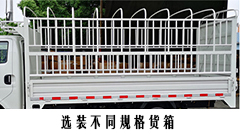 长安牌SC5034CCYUFD6B3仓栅式运输车公告图片
