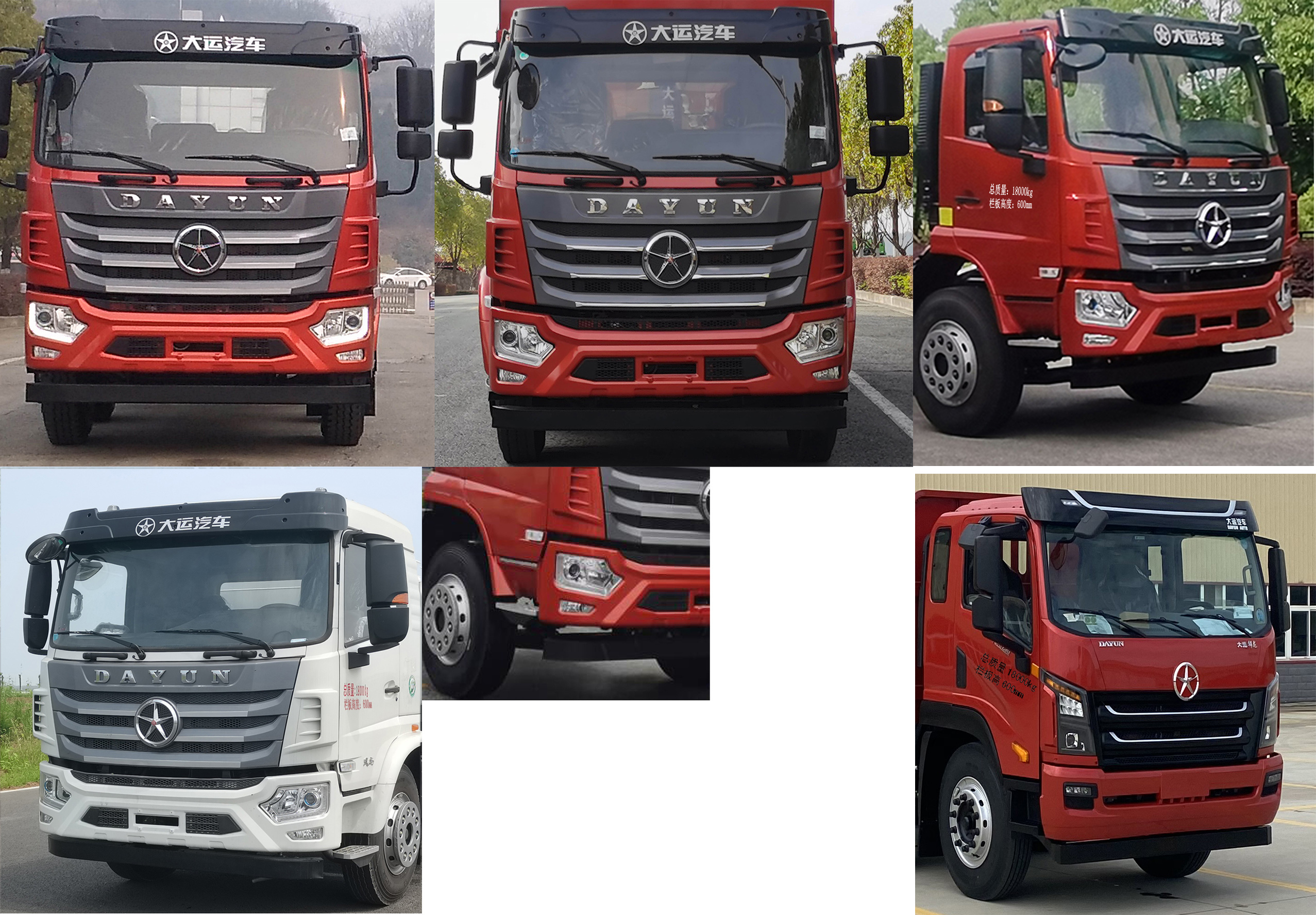 大運(yùn)牌DYQ5183JSQD6AB隨車起重運(yùn)輸車公告圖片