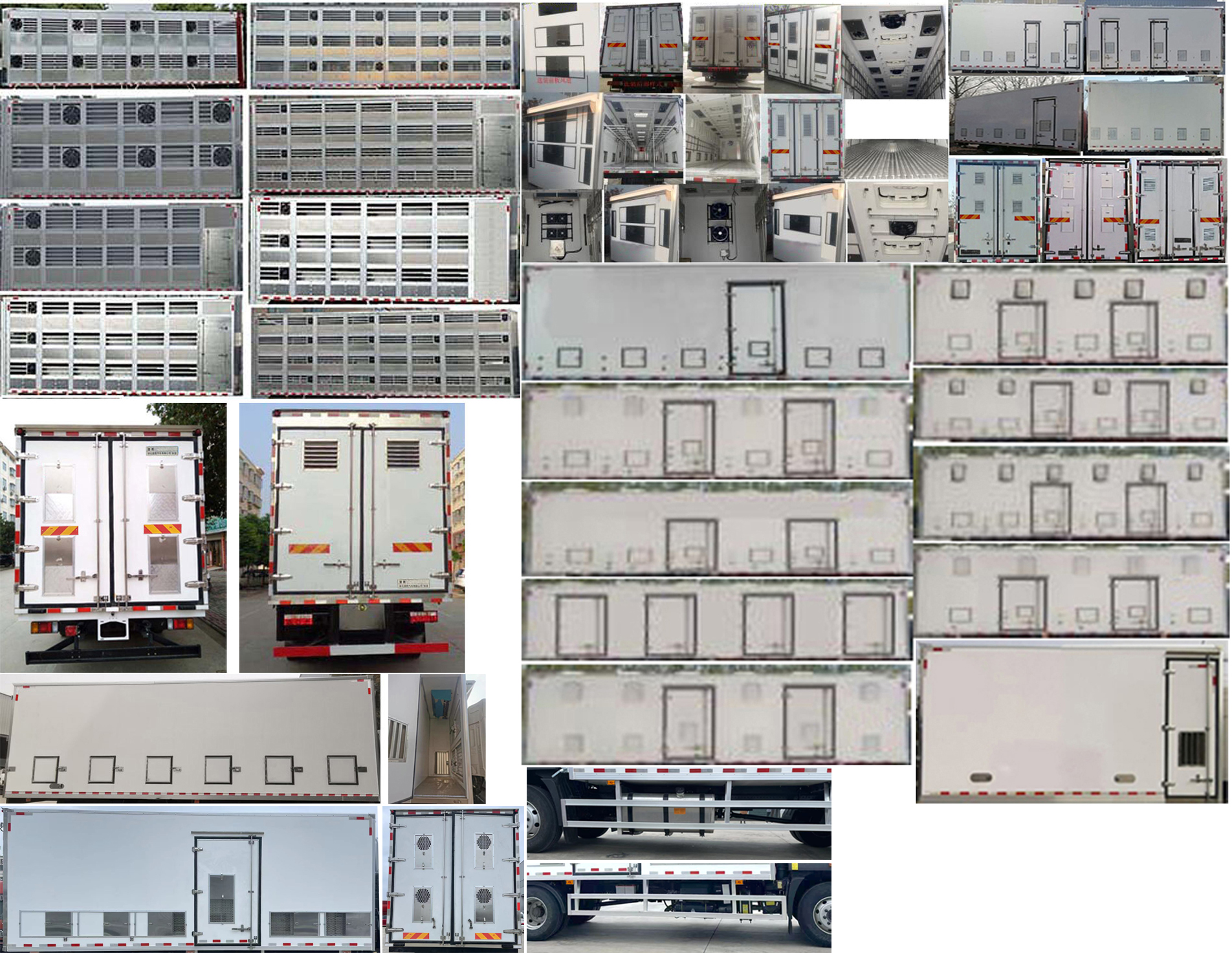 楚勝牌CSC5186XCQB6雛禽運(yùn)輸車(chē)公告圖片