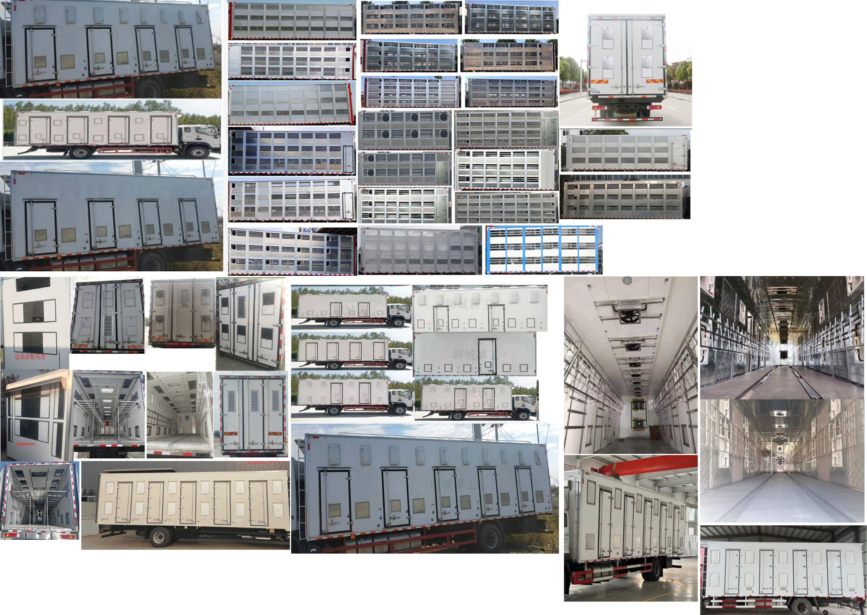 聊工牌HTL5160XCQ6BJ雛禽運(yùn)輸車公告圖片