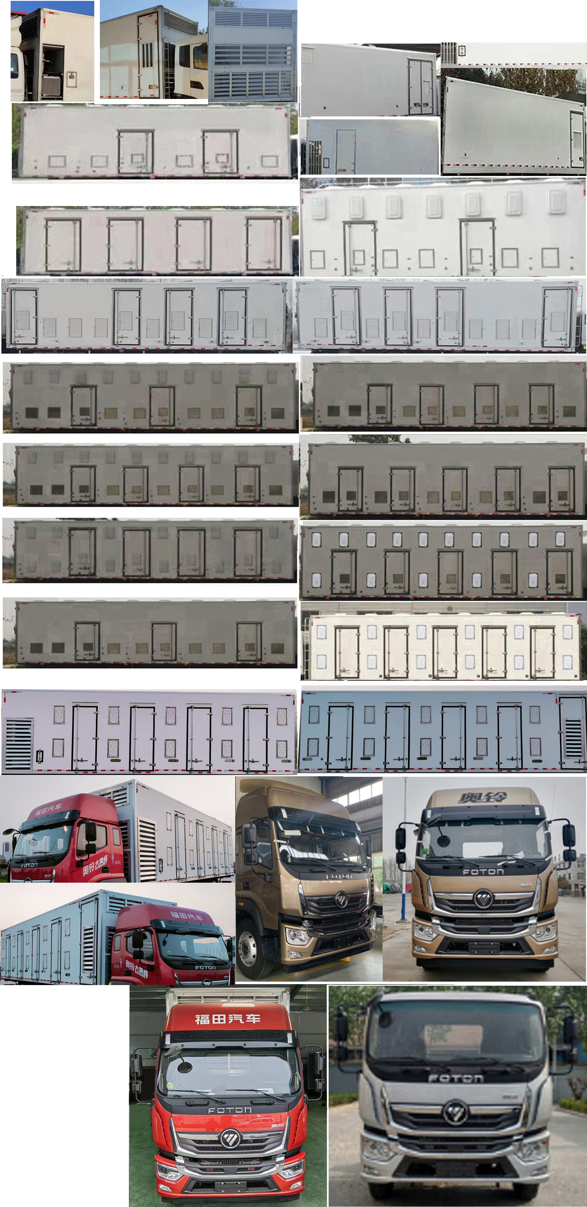 科萊特牌ZYX5181XCQBJ6雛禽運(yùn)輸車公告圖片