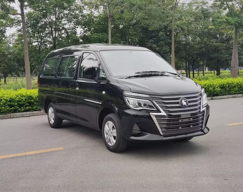 东风牌LZ6510N16B2多用途乘用车图片