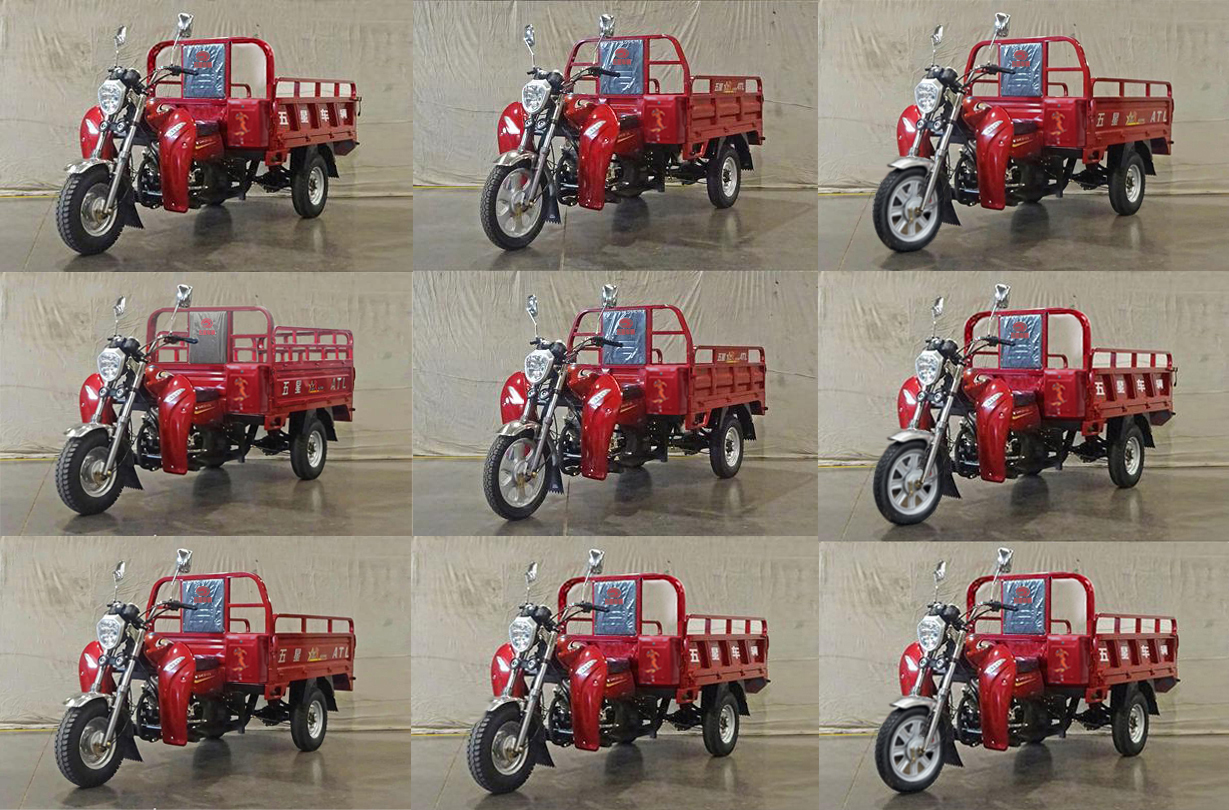 五星牌WX150ZH-23D正三轮摩托车公告图片