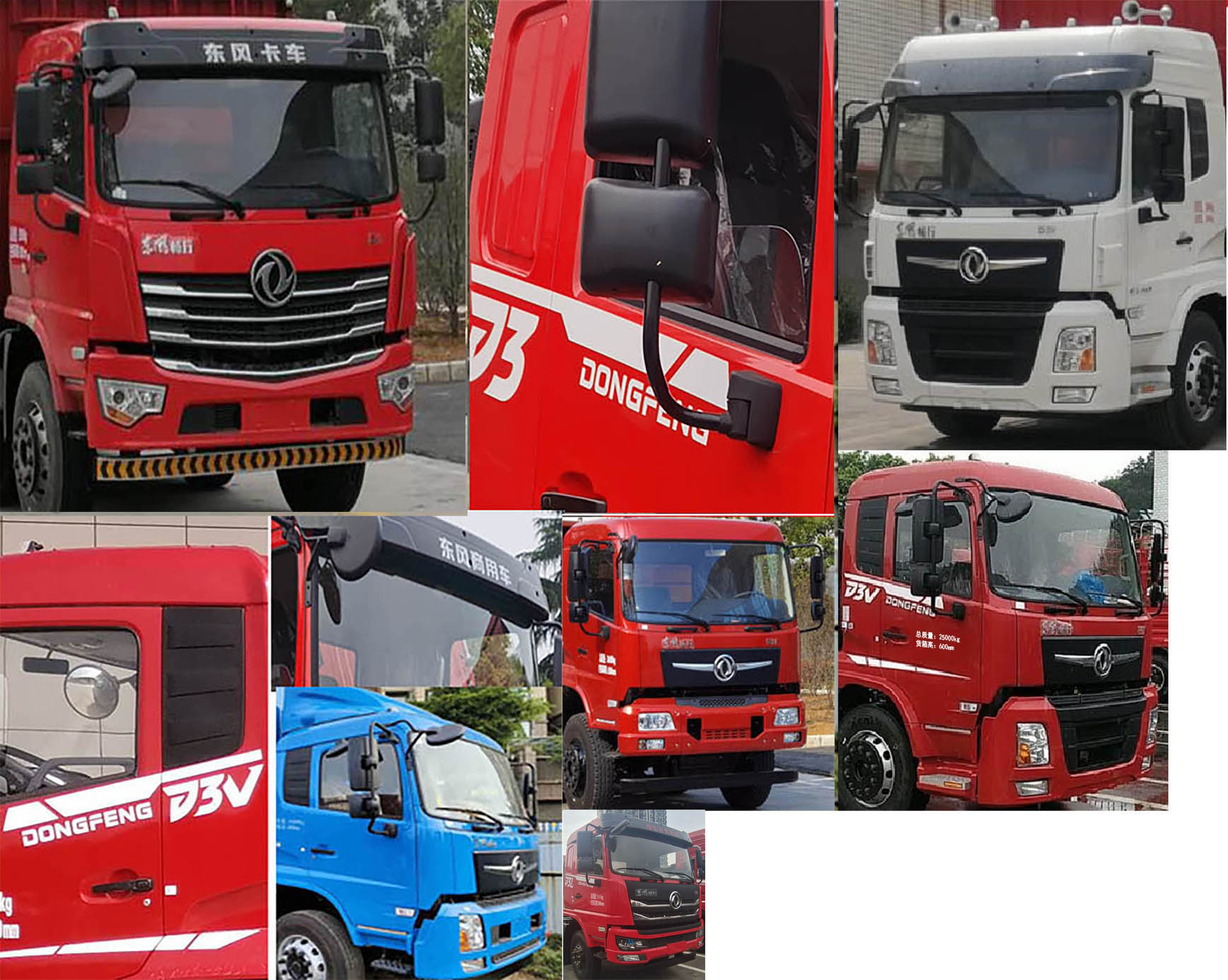 東風牌DFV5253CCYGP6DT倉柵式運輸車公告圖片