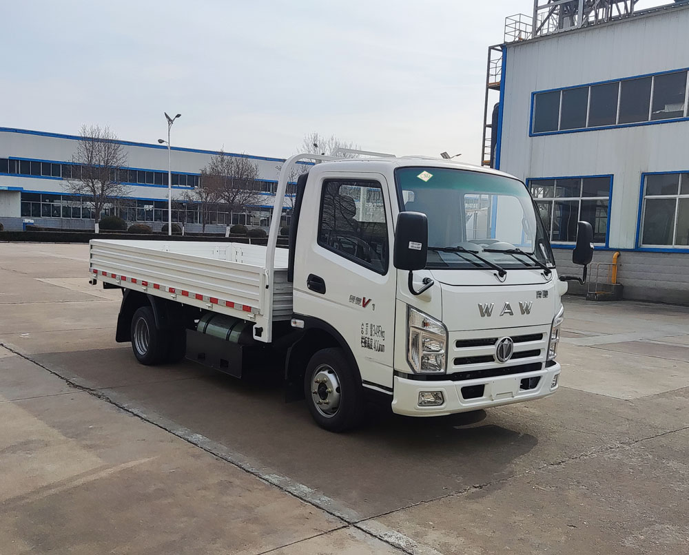 飞碟牌FD1038W16K6-NG1载货汽车公告图片