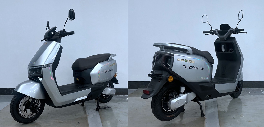 TL1200DT-13F 台铃牌纯电动前盘式后盘式/鼓式电动两轮摩托车图片