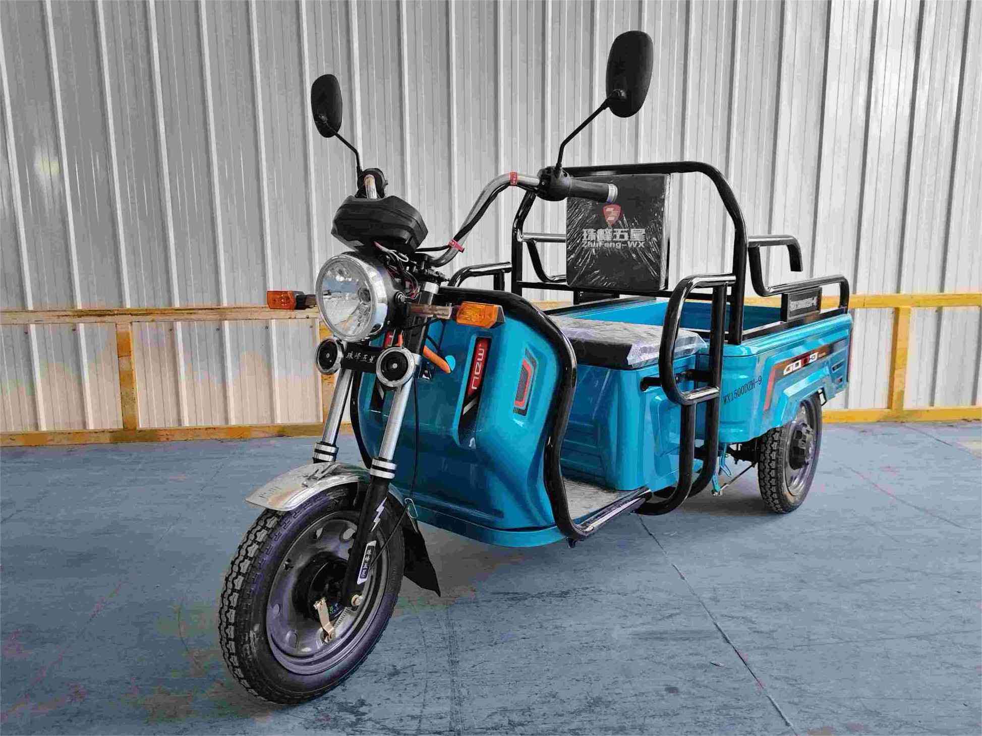 珠峰五星牌WX1500DZH-9电动正三轮摩托车图片