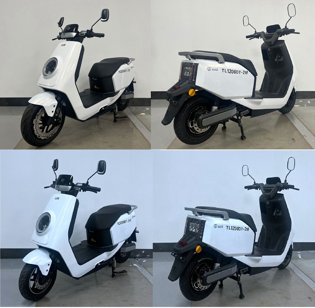 台铃牌TL1200DT-29F电动两轮摩托车公告图片