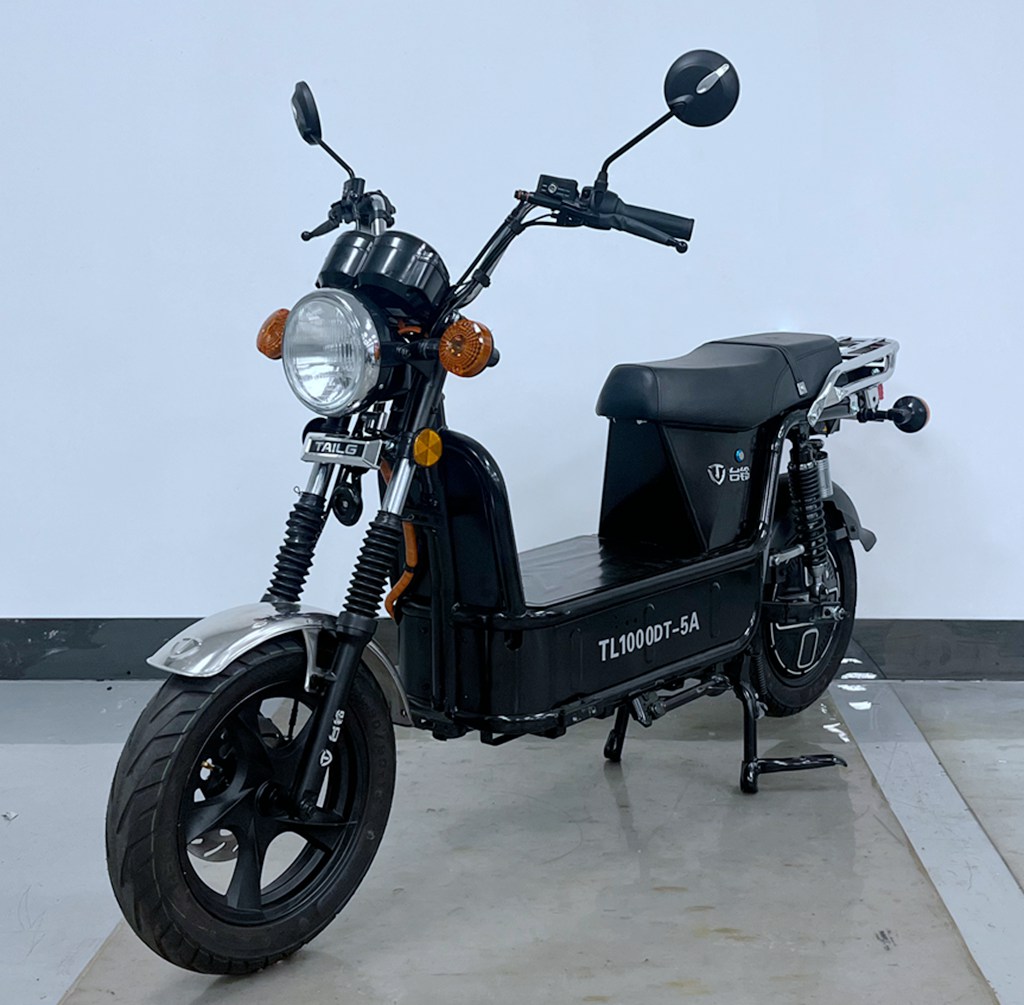 TL1000DT-5A 台铃牌纯电动前盘式后盘式电动两轮摩托车图片