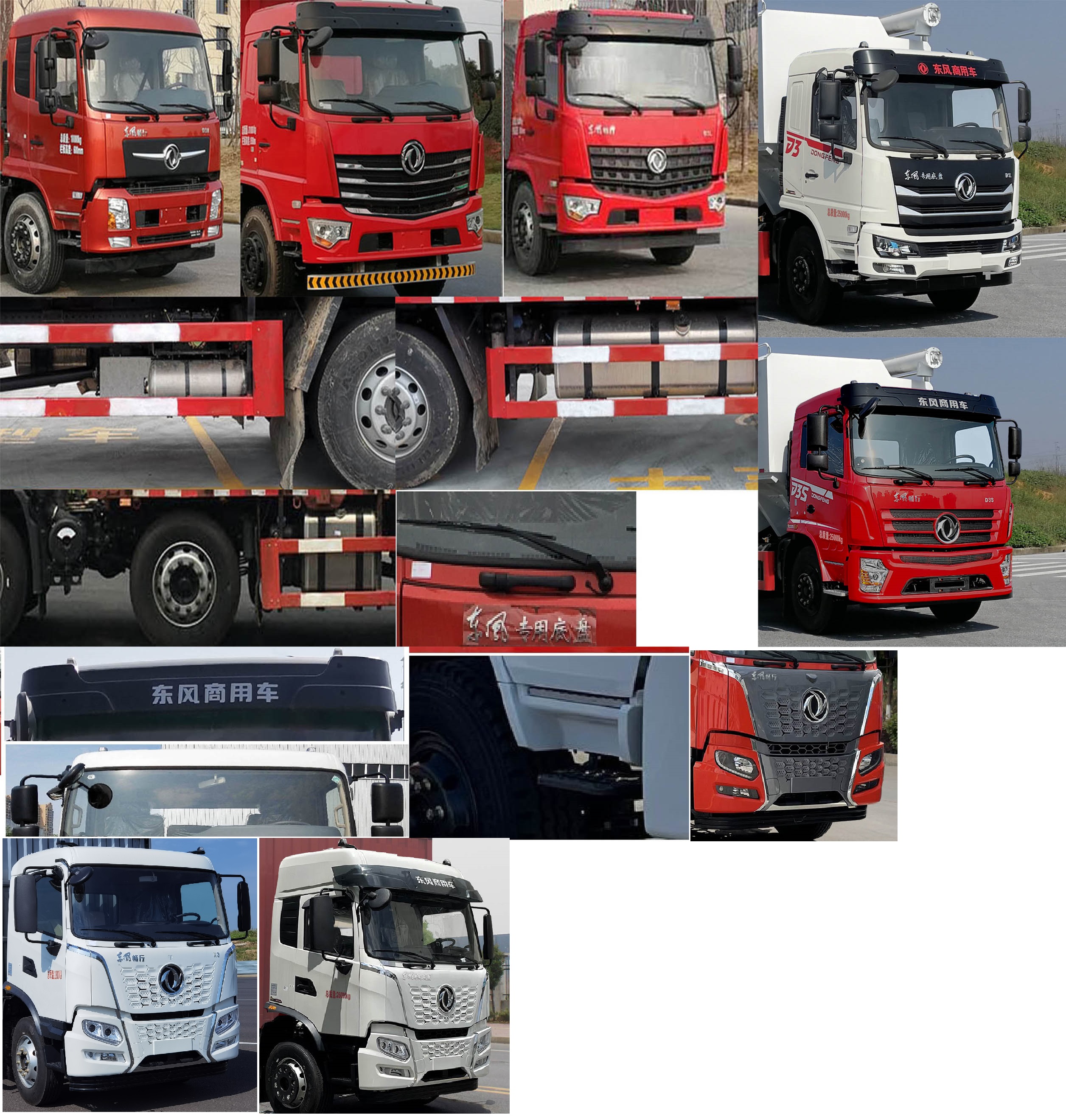 東風(fēng)牌DFV5253ZSLGP6D散裝飼料運(yùn)輸車公告圖片