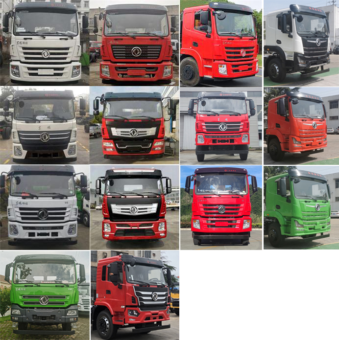 東風(fēng)牌DFZ5310ZWXSZ6D污泥自卸車(chē)公告圖片