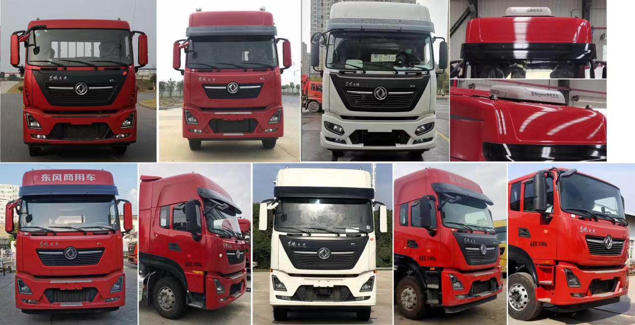 潤(rùn)知星牌SCS5313ZSLDFH6散裝飼料運(yùn)輸車(chē)公告圖片