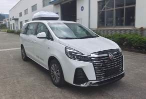 大公牌TLH5021XJE2监测车