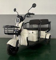 电动正三轮摩托车