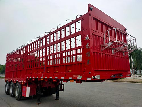 威龙兴达牌10米34.8吨3轴仓栅式运输半挂车(CXS9400CCYE)