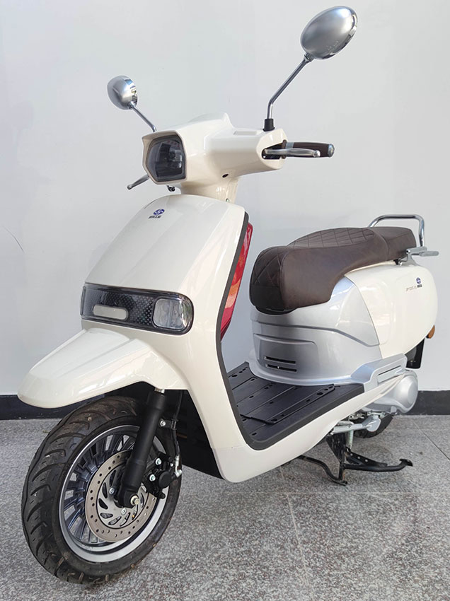 JP125T-15 嘉鹏牌125CC汽油前盘式后盘式/鼓式两轮摩托车图片