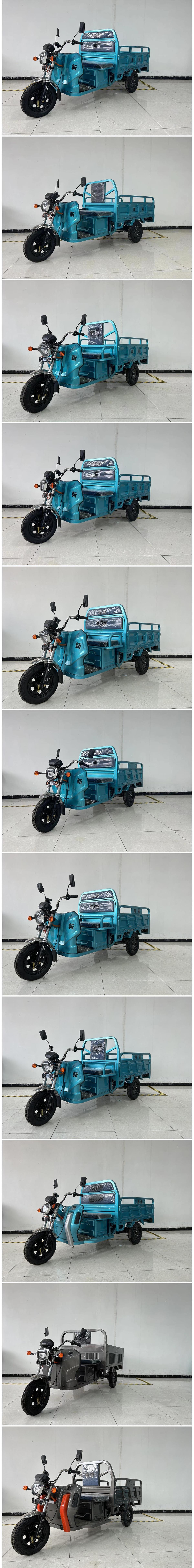 隆新牌LX1200DZH-6电动正三轮摩托车公告图片