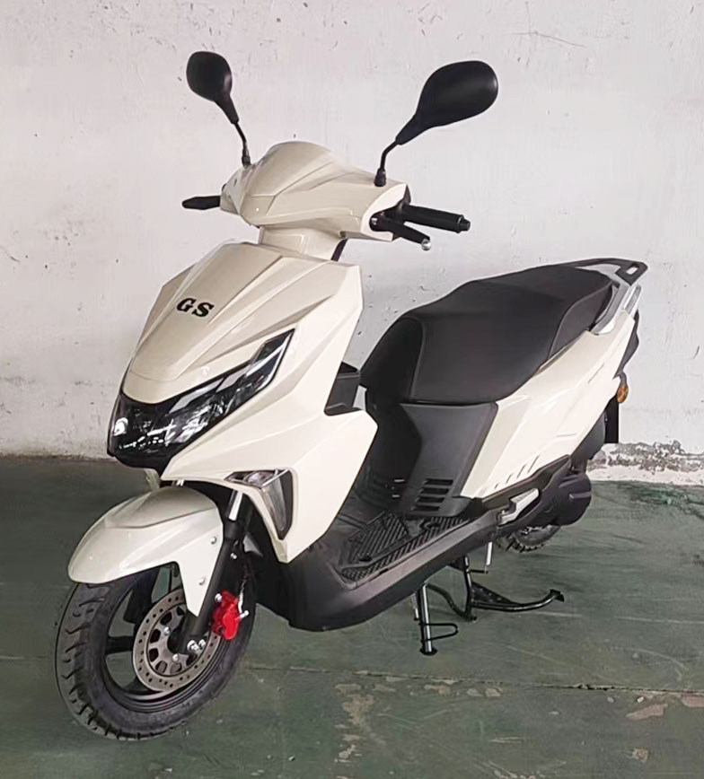 光速牌GS125T-12C两轮摩托车公告图片