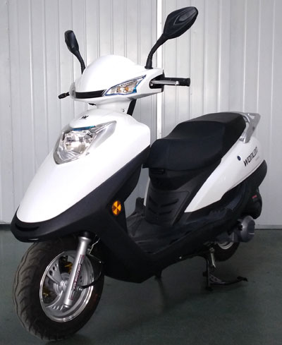 望龙牌WL125T-19两轮摩托车公告图片