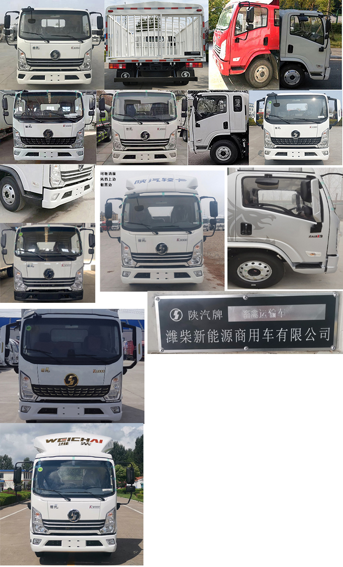 陕汽牌YTQ5041CCQKH331畜禽运输车公告图片