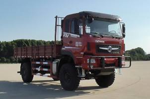 DFV5163TSMGP6D沙漠车图片