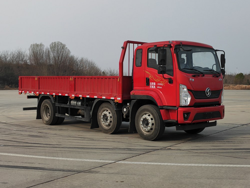 陕汽牌 220马力 载货汽车(SX1240BP6369)