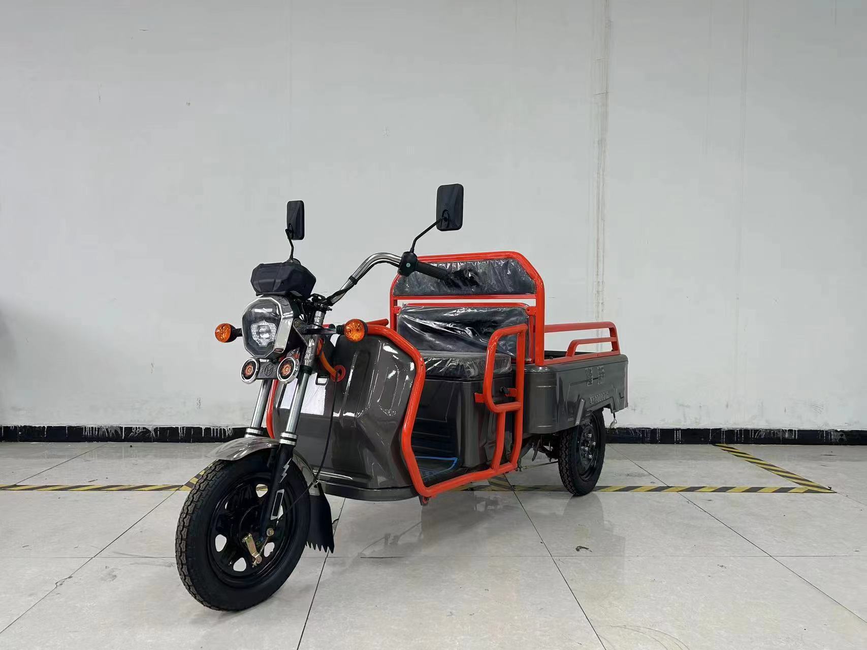 隆新牌LX1200DZH电动正三轮摩托车公告图片