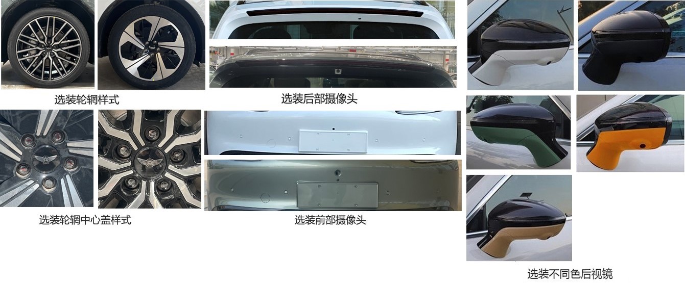 大运牌CGC6521BEV2S2纯电动多用途乘用车公告图片