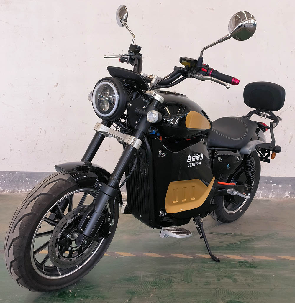 自由动力牌ZY3000D-3X电动两轮摩托车图片
