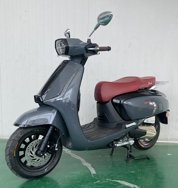 本菱牌HL125T-13D两轮摩托车公告图片