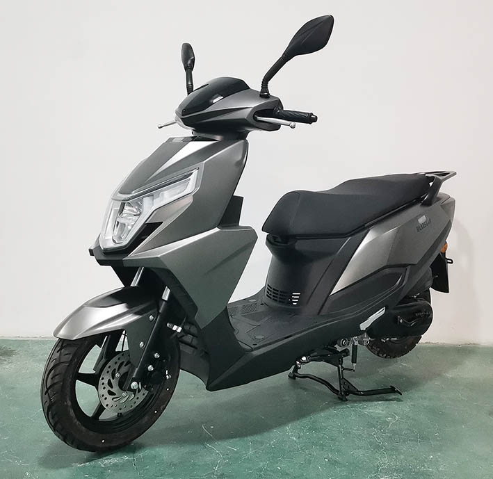 BL125T-2F 布雷斯通牌125CC汽油前盘式后盘式两轮摩托车图片