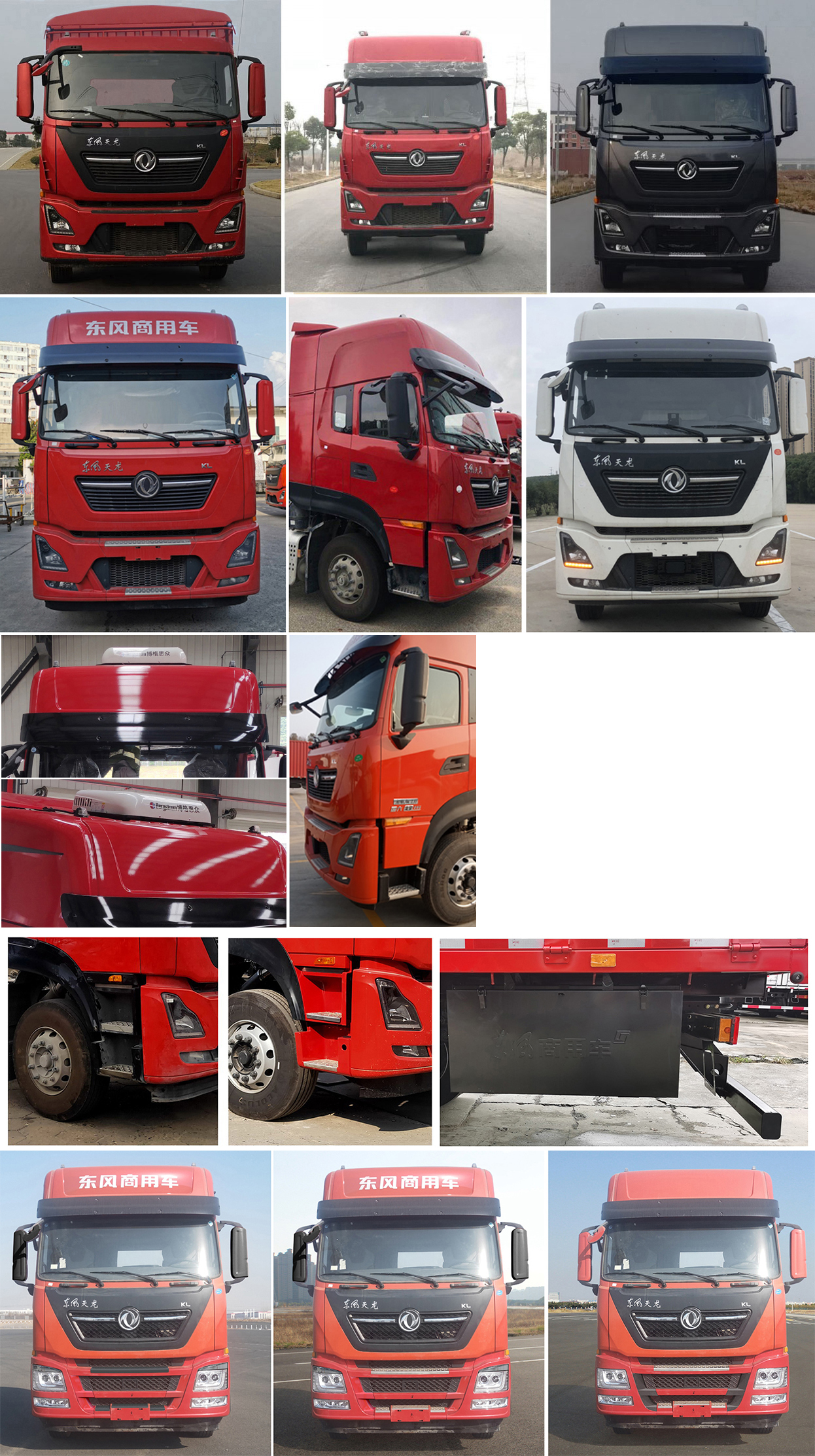 東風(fēng)牌DFH5250CCQDX6畜禽運(yùn)輸車公告圖片