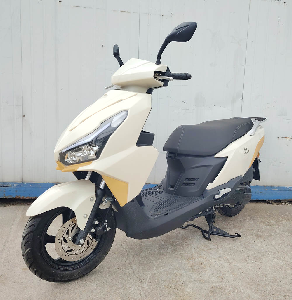 易主牌YZ125T-8两轮摩托车公告图片